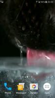 Dog Drinking Water Video Wallp Ekran Görüntüsü 3
