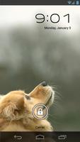 Dog Jump Live Wallpaper โปสเตอร์