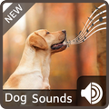 Dog Sounds