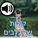 קולות של כלבים APK