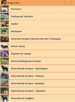 Dog Breeds Poster