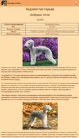 Dog Breeds captura de pantalla 1