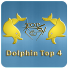 Dolphin Top 4 Plus icon