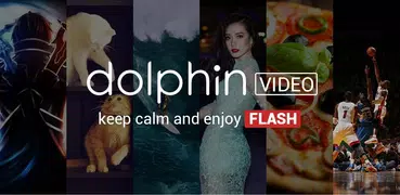 Dolphin Video - Flash Player