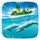 Dolphins Blue Theme APK