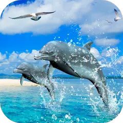 Dolphins 3D Video Wallpaper