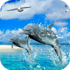 Dolphins 3D Video Wallpaper biểu tượng