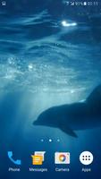 Dolphins 3D Video Wallpaper ảnh chụp màn hình 3