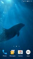 Dolphins 3D Video Wallpaper पोस्टर