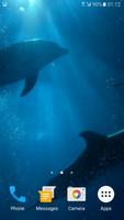Dolphins 3D Video Wallpaper スクリーンショット 1