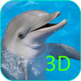 Dolphins Video Wallpaper 3D آئیکن
