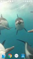 Dolphins Video Wallpaper 3D اسکرین شاٹ 3