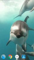 Les dauphins fond d'écran 3D Affiche