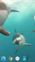 Dolphins Video Wallpaper 3D اسکرین شاٹ 1