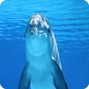 Delfin Puzzle aplikacja