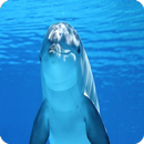 Dolphins Jigsaw Puzzle APK