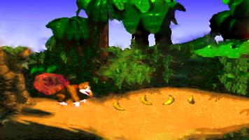 Monkey kong Country Returns الملصق