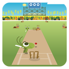 IPL cricket star Game icône