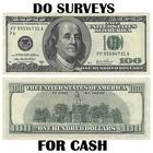 Do Surveys For Cash icône