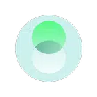 DataDetox icon