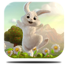 Day rabbit  Live Wallpaper icono