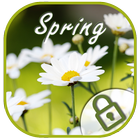 Daisy spring aroma vivid theme icône