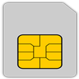 Auto Swapping Sim