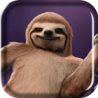 Dance of Sloth Live Wallpaper icône