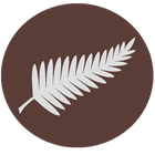 NZ Radio Player icon