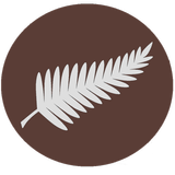 NZ Radio Player icône