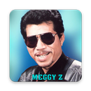 Meggy Z Offline + Lirik APK