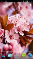 Sakura Live Wallpaper 포스터