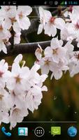 Sakura Live Wallpaper 스크린샷 1