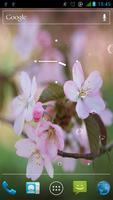 Sakura Live Wallpaper 스크린샷 2