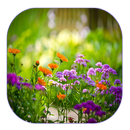Summer Garden Live Wallpaper APK