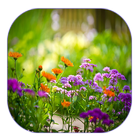 Summer Garden Live Wallpaper أيقونة