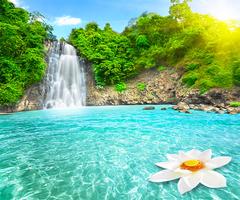 Waterfall Live wallpaper plakat