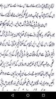 Urdu  Novel Aasman Roshan hai Ekran Görüntüsü 2