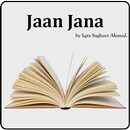 Urdu Novel - Jaan Jana APK