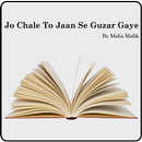 Urdu Novel - Jo Chalay Toh Jaan say Guzar Gyaa APK