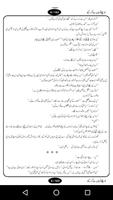 Urdu Novel - Jo Chalay Toh Jaan say Guzar Gyaa スクリーンショット 3