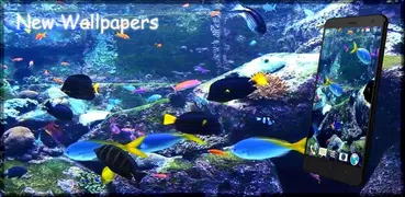 水族館ライブビデオ壁紙