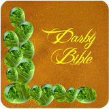 Darby Bible icône