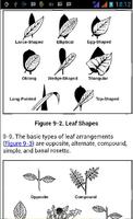 Army Survival Manual FM3-05.70 स्क्रीनशॉट 3