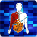 Creatinine Clearance Calculato APK