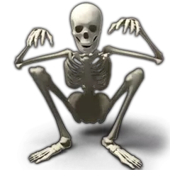 Human Anatomy