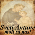 Sveti Antun Padovanski icône