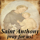 Saint Anthony of Padua APK
