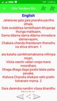 Shiv Tandava Stotram Audio Lyrics capture d'écran 3