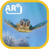 Ozeane icon